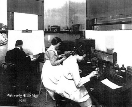 Госпиталь Вейверли Хиллз, Вэйвирли Хиллс или Уэверли Xиллс